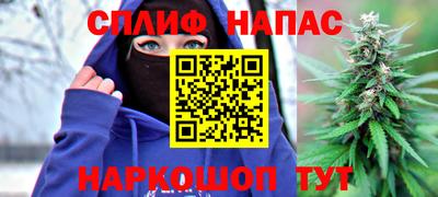 крисы Партизанск