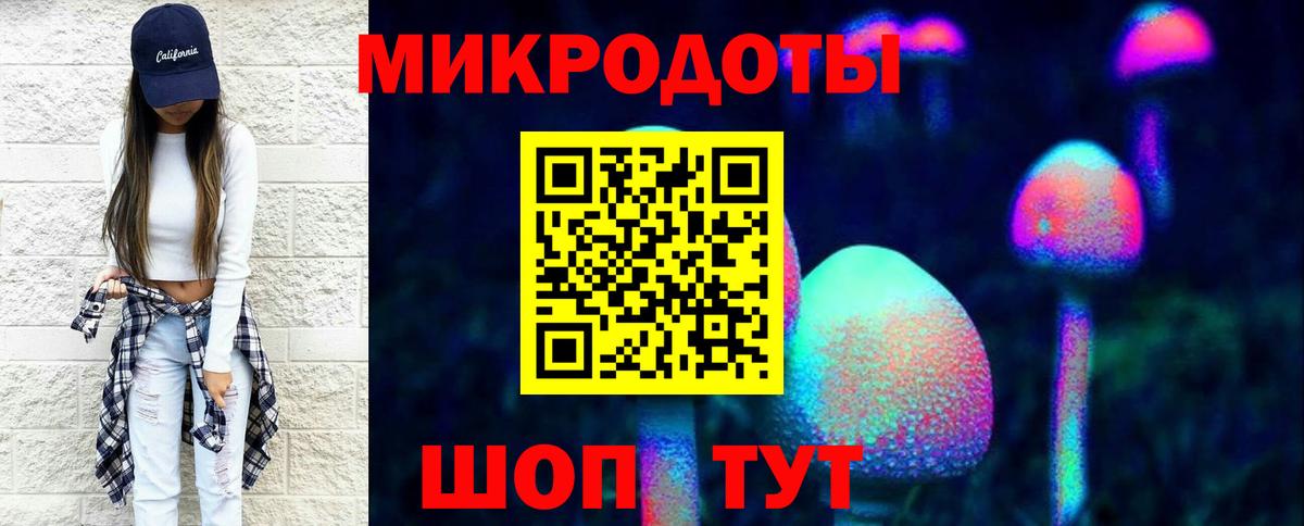 Сосновоборск  Псилоцибиновые грибы мицелий  Вход с VPN  Галлюциногенные грибы Psilocybe 